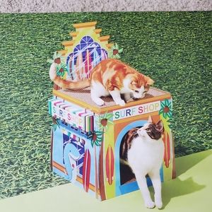 Cat scratcher surf shop